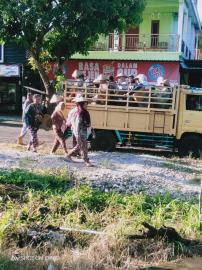 Wujud Ketahanan Pangan, BUMKal Maju Bersama Siap Lakukan Penanaman Bawang Merah Perdana di Krapyak